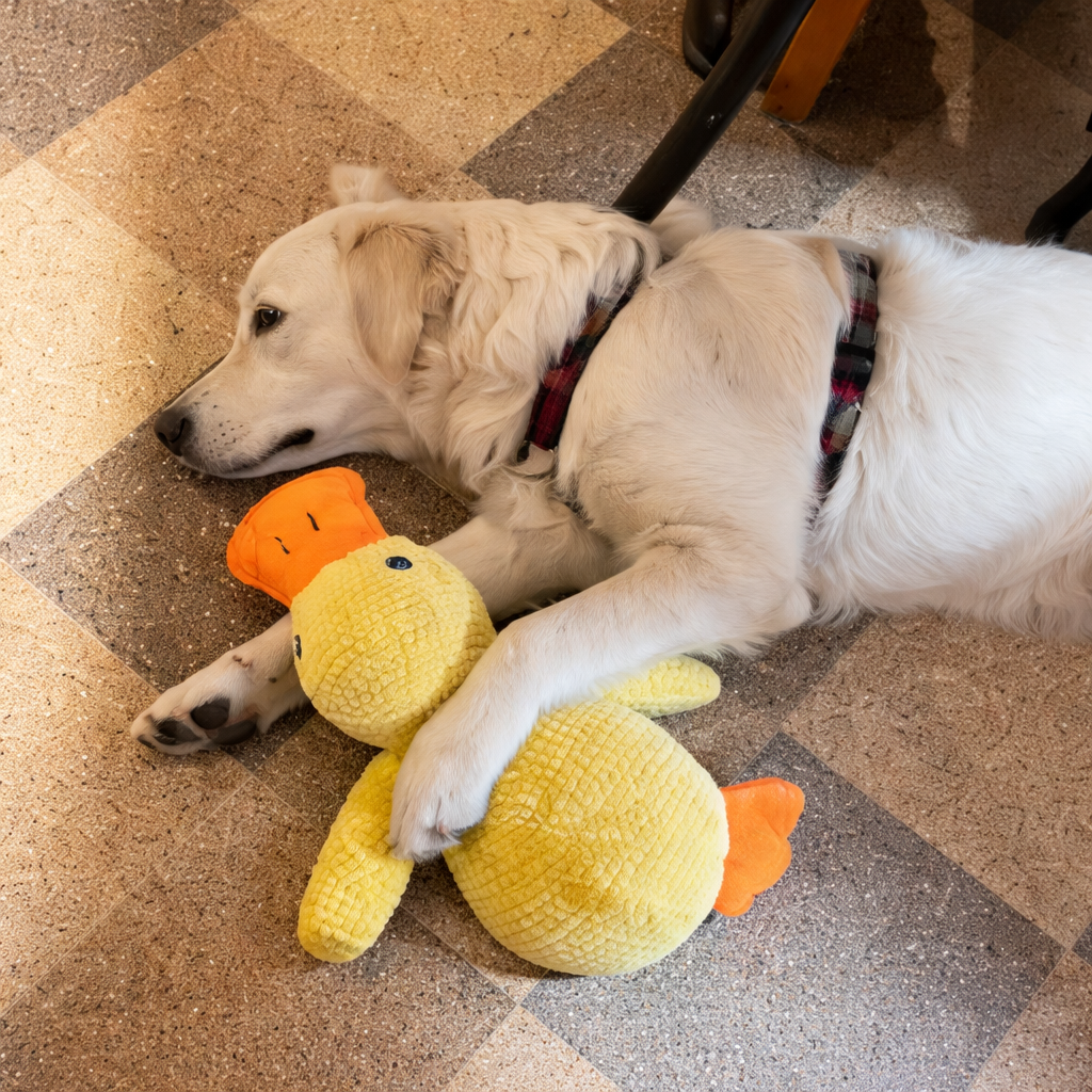 RelaxDuck™ - Canard anti-stress