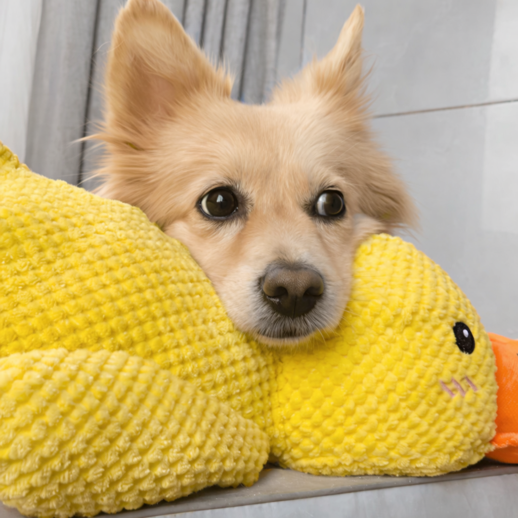 RelaxDuck™ - Canard anti-stress