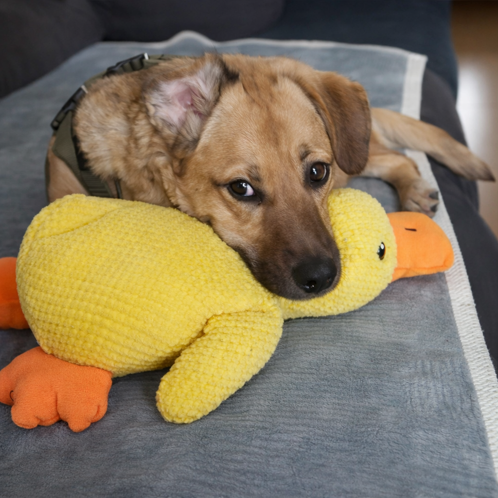 RelaxDuck™ - Canard anti-stress