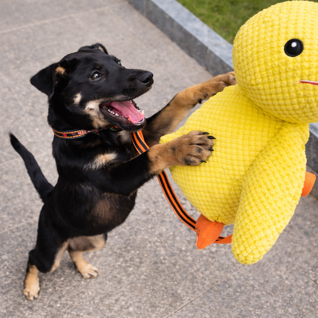 RelaxDuck™ - Canard anti-stress