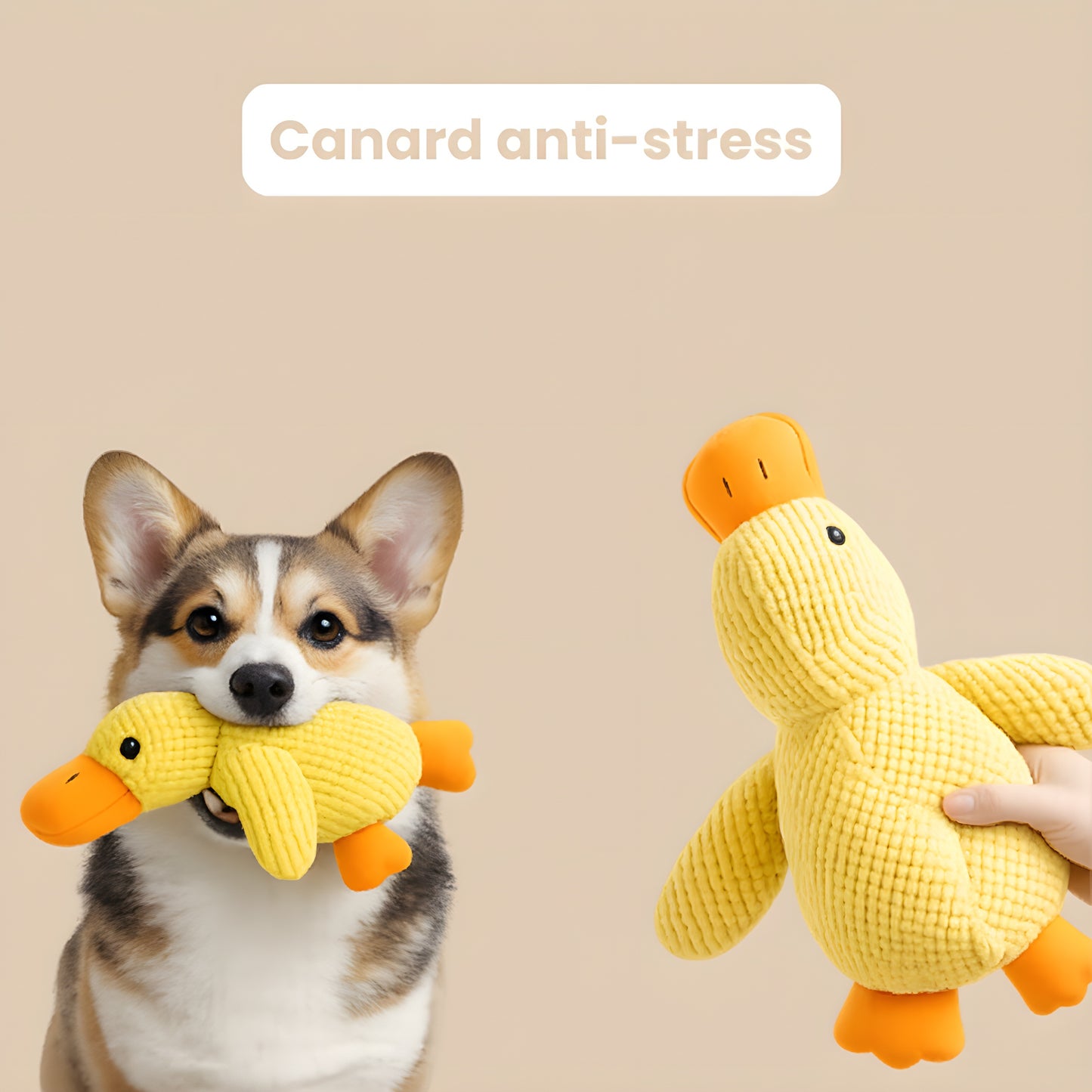 RelaxDuck™ - Canard anti-stress