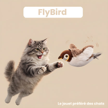 FlyBird