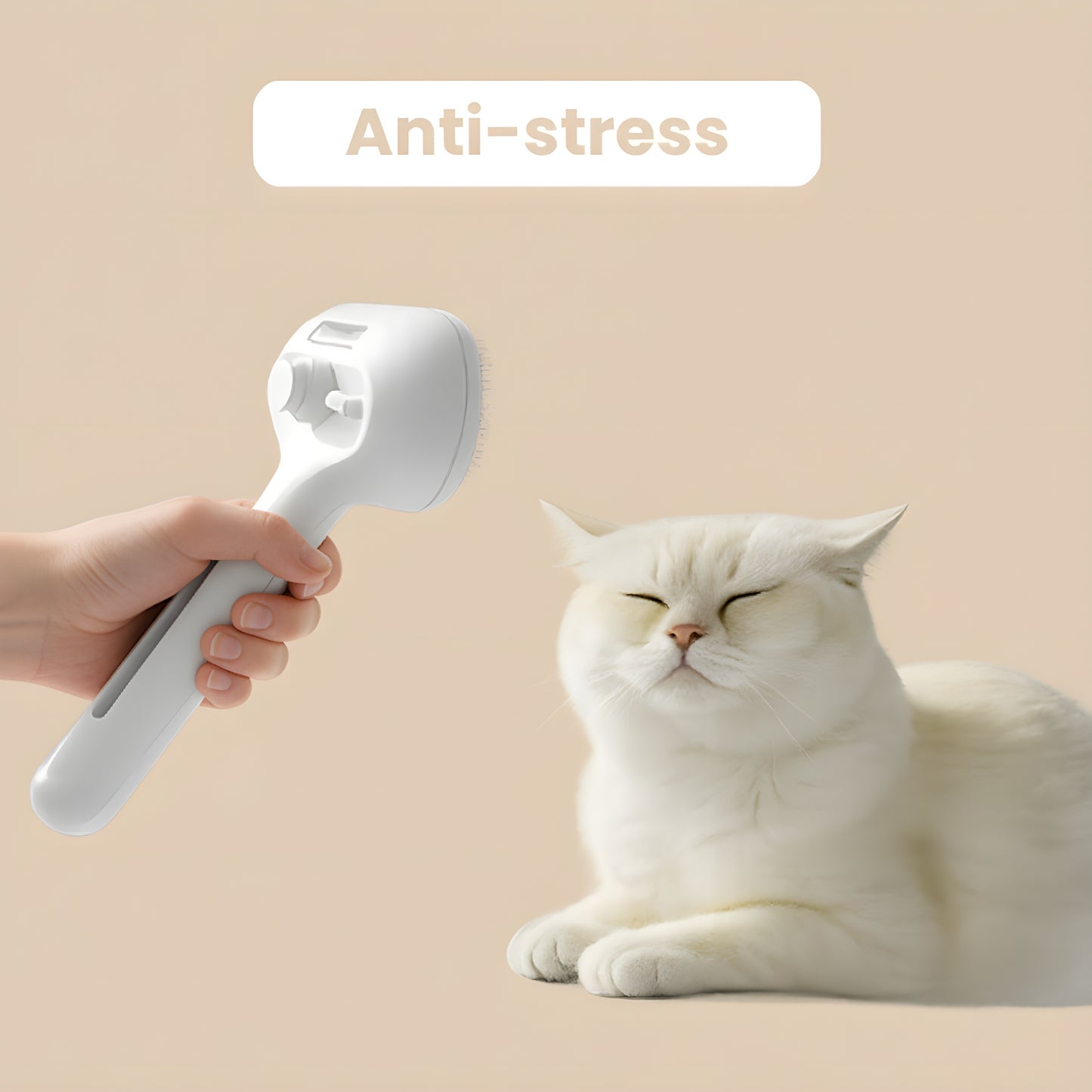 SteamPaw™ - Brosse à Vapeur Anti-stress