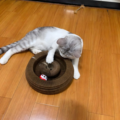 Griffoir interactif pour chats